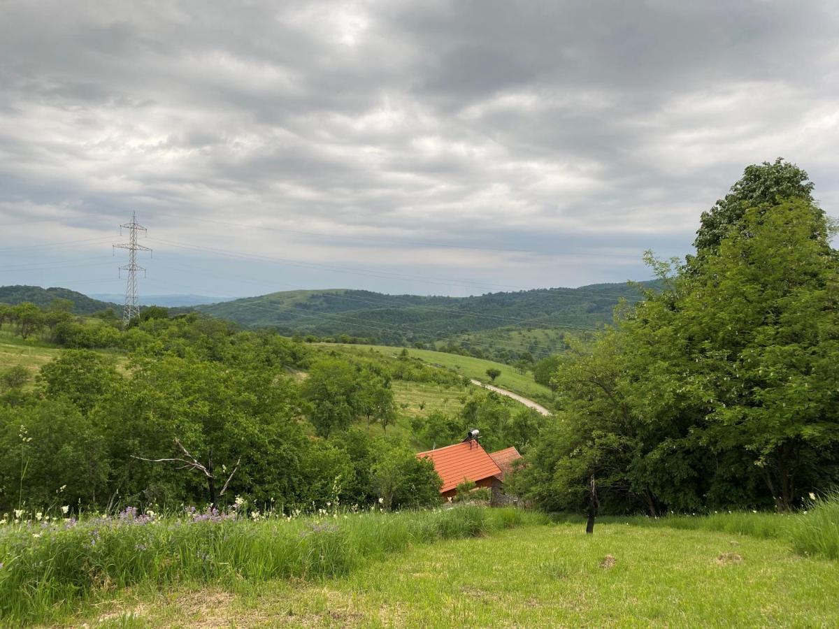 Salas U Bregu In Cheile Carasului Crasova Exterior foto